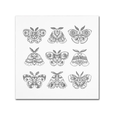 Trademark Fine Art Filippo Cardu 'Moths' Canvas Art, 14x14 ALI2766-C1414GG